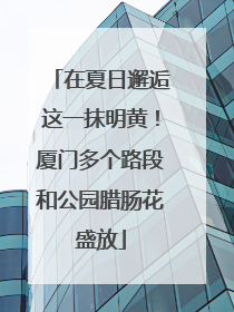 在夏日邂逅这一抹明黄！厦门多个路段和公园腊肠花盛放