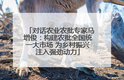 对话农业农批专家马增俊：构建农批全国统一大市场 为乡村振兴注入强劲动力