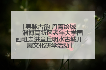 寻脉古韵 丹青绘城——淄博高新区老年大学国画班走进章丘明水古城开展文化研学活动
