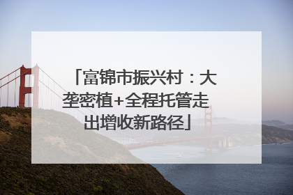 富锦市振兴村：大垄密植+全程托管走出增收新路径