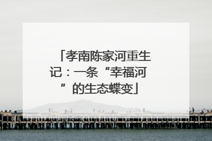 孝南陈家河重生记：一条“幸福河”的生态蝶变
