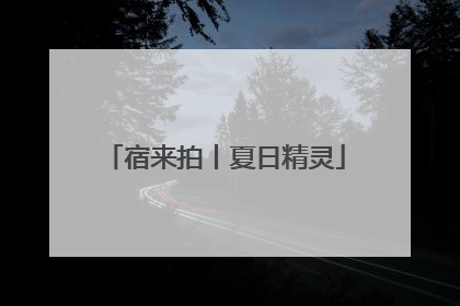 宿来拍丨夏日精灵