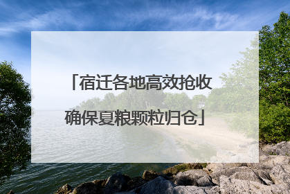 宿迁各地高效抢收 确保夏粮颗粒归仓