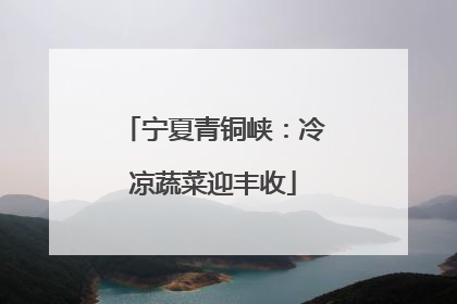 宁夏青铜峡：冷凉蔬菜迎丰收