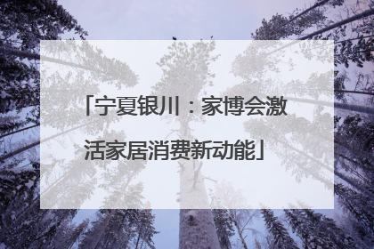 宁夏银川：家博会激活家居消费新动能