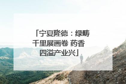 宁夏隆德：绿畴千里展画卷 药香四溢产业兴