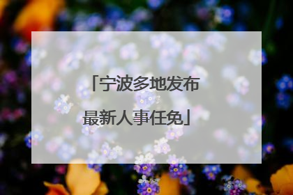 宁波多地发布最新人事任免