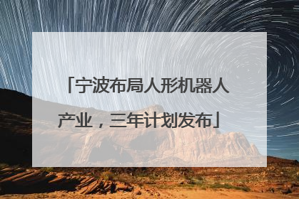 宁波布局人形机器人产业，三年计划发布