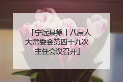 宁远县第十八届人大常委会第四十九次主任会议召开