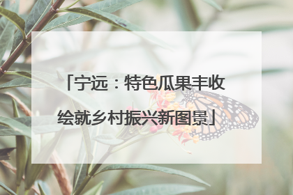 宁远：特色瓜果丰收绘就乡村振兴新图景