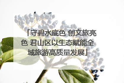 守碧水底色 创文旅亮色 君山区以生态赋能全域旅游高质量发展
