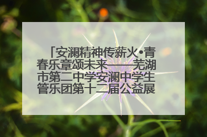 安澜精神传薪火•青春乐章颂未来——芜湖市第二中学安澜中学生管乐团第十二届公益展演圆满举行