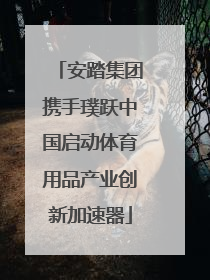 安踏集团携手璞跃中国启动体育用品产业创新加速器