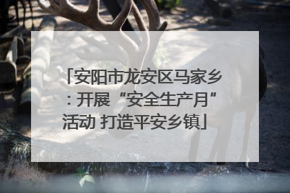 安阳市龙安区马家乡：开展“安全生产月”活动 打造平安乡镇