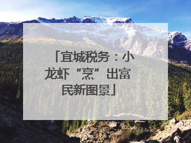 宜城税务：小龙虾“烹”出富民新图景