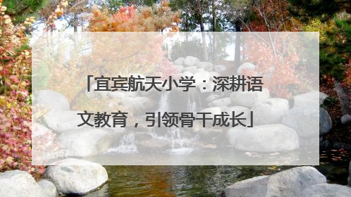 宜宾航天小学：深耕语文教育，引领骨干成长