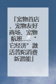 宠物首店、宠物友好商场、宠物航班……“它经济”激活普陀消费新潜能