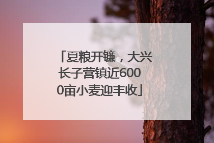 夏粮开镰，大兴长子营镇近6000亩小麦迎丰收