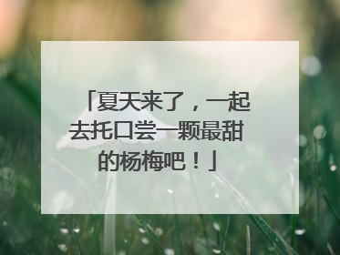 夏天来了，一起去托口尝一颗最甜的杨梅吧！