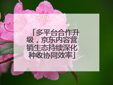 多平台合作升级，京东内容营销生态持续深化种收协同效率