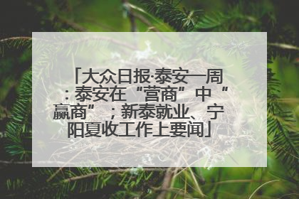 大众日报·泰安一周：泰安在“营商”中“赢商”；新泰就业、宁阳夏收工作上要闻