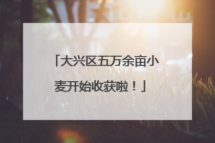大兴区五万余亩小麦开始收获啦！