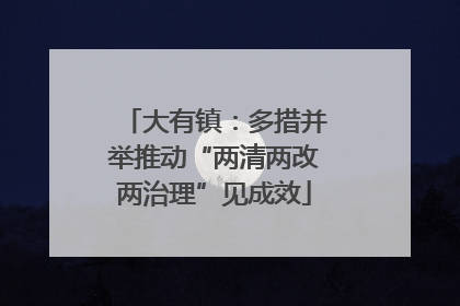 大有镇：多措并举推动“两清两改两治理”见成效