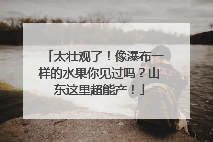 太壮观了！像瀑布一样的水果你见过吗？山东这里超能产！