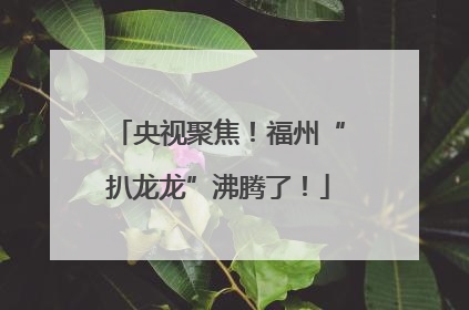 央视聚焦！福州“扒龙龙”沸腾了！