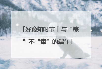 好豫知时节丨与“粽”不“童”的端午