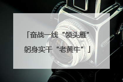 奋战一线“领头雁” 躬身实干“老黄牛”
