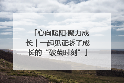 心向暖阳·聚力成长｜一起见证骄子成长的“破茧时刻”