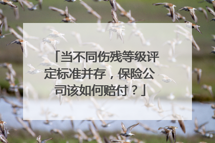 当不同伤残等级评定标准并存，保险公司该如何赔付？