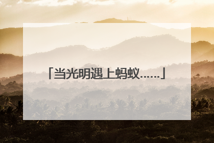 当光明遇上蚂蚁……