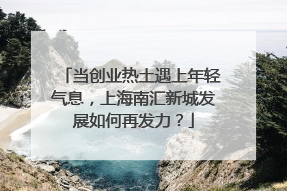 当创业热土遇上年轻气息，上海南汇新城发展如何再发力？
