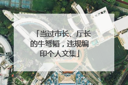 当过市长、厅长的牛弩韬，违规编印个人文集