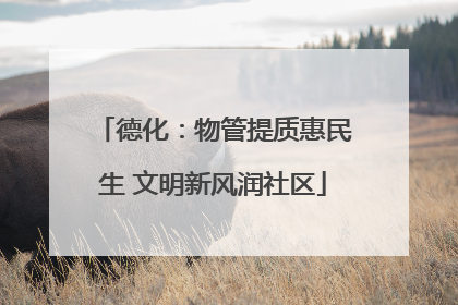 德化：物管提质惠民生 文明新风润社区