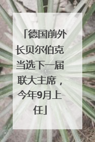 德国前外长贝尔伯克当选下一届联大主席，今年9月上任