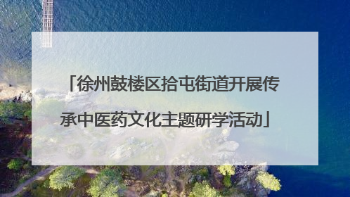 徐州鼓楼区拾屯街道开展传承中医药文化主题研学活动