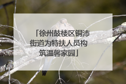 徐州鼓楼区铜沛街道为特扶人员构筑温馨家园