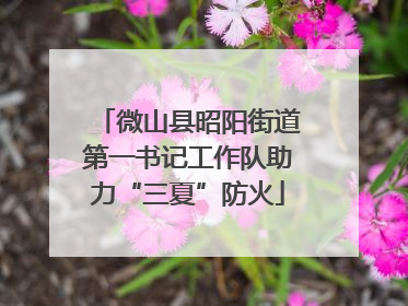 微山县昭阳街道第一书记工作队助力“三夏”防火