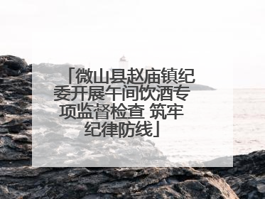 微山县赵庙镇纪委开展午间饮酒专项监督检查 筑牢纪律防线