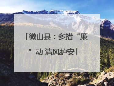 微山县：多措“廉”动 清风护安
