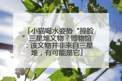 小猫喝水姿势“撞脸”三星堆文物？博物馆：该文物并非来自三星堆，有可能是它