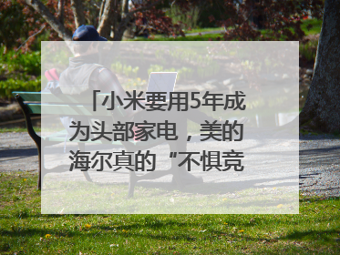 小米要用5年成为头部家电，美的海尔真的“不惧竞争”？｜热财经