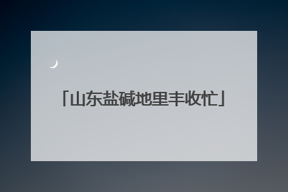 山东盐碱地里丰收忙