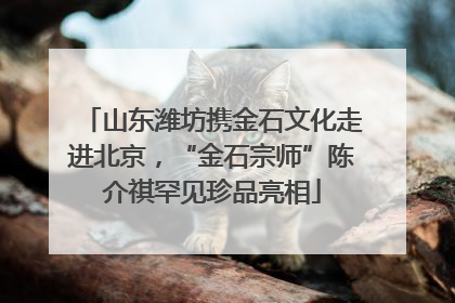 山东潍坊携金石文化走进北京，“金石宗师”陈介祺罕见珍品亮相