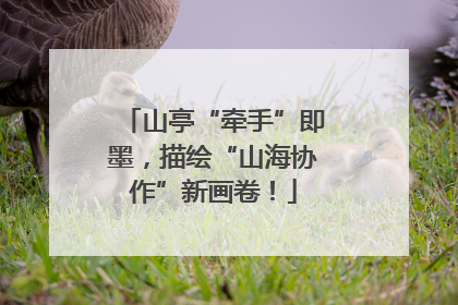 山亭“牵手”即墨，描绘“山海协作”新画卷！