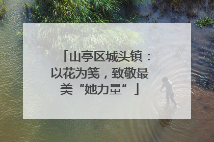 山亭区城头镇：以花为笺，致敬最美“她力量”
