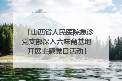 山西省人民医院急诊党支部深入六味斋基地开展主题党日活动